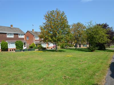 Picture 22
